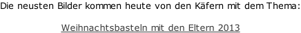 Die neusten Bilder kommen heute von den Käfern mit dem Thema:  Weihnachtsbasteln mit den Eltern 2013