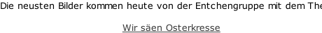 Die neusten Bilder kommen heute von der Entchengruppe mit dem Thema:  Wir säen Osterkresse
